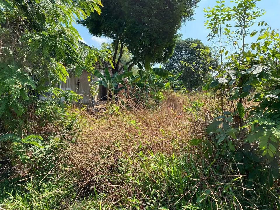 Đất Nền Vinh Quang Kon Tum 200m² 500 Triệu Sổ Đỏ Chính Chủ