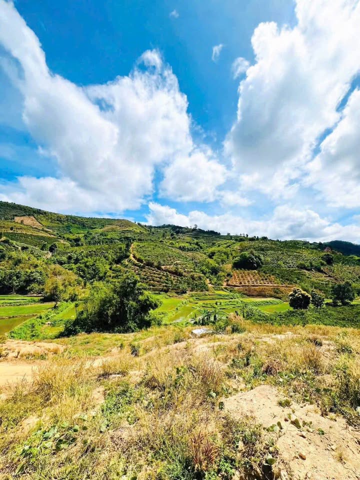 Đất vườn Đắk Hà Kon Tum 1.3ha giá 568 triệu - Nghỉ dưỡng lý tưởng