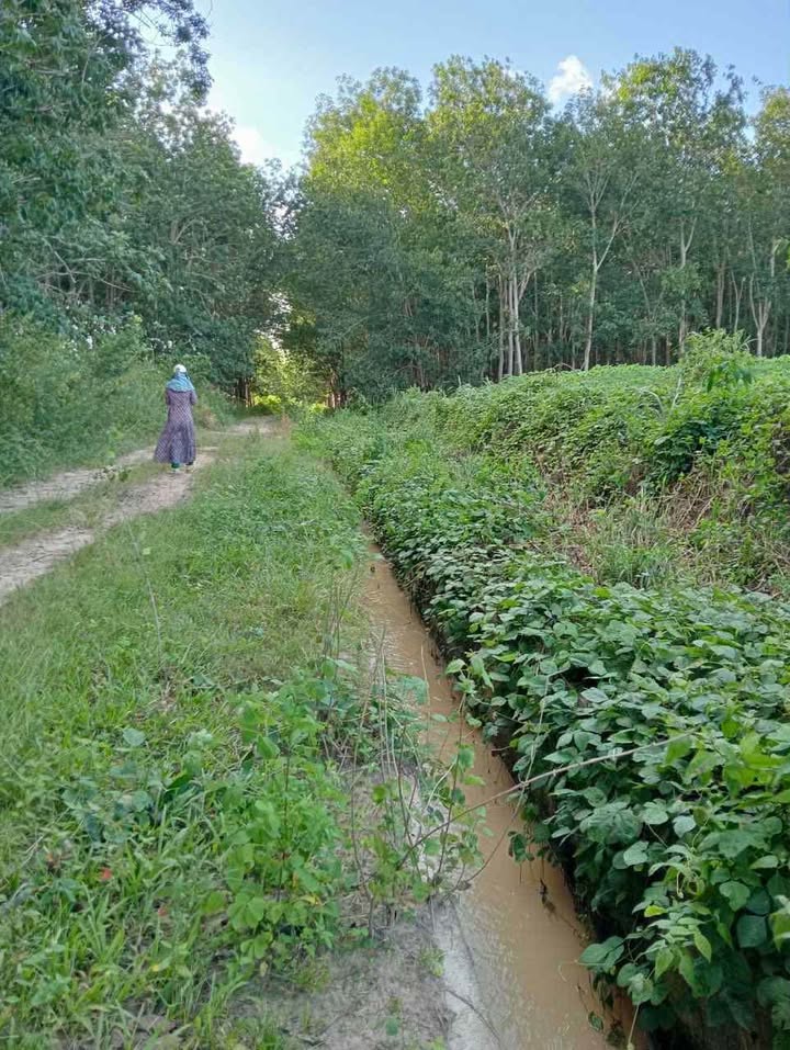 Bán đất rẫy xã Hòa Bình Kon Tum 4 sào giá 290 triệu đầu tư tốt