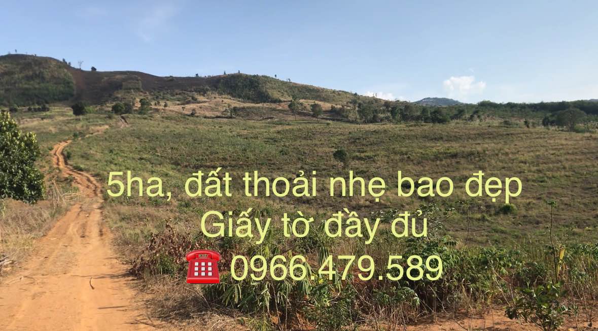 Bán 5ha Đất Vườn Đăk Tô, Kon Tum - Sổ Đỏ Sẵn Sàng, Giá Đầu Tư 2.25 Tỷ