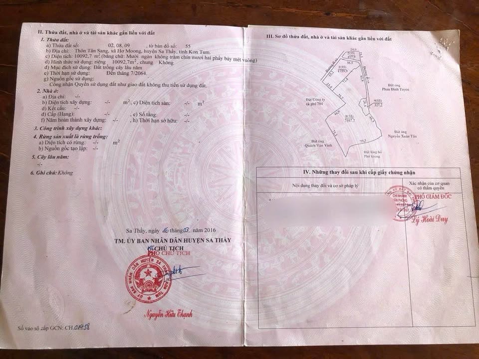 Bán Đất Vườn Cà Phê Sa Thầy 1.4ha 950 Triệu - Đầu Tư Dài Hạn