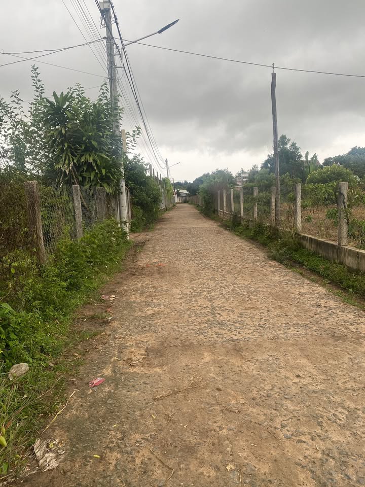 Đất nền 495m² hướng Đông tại Tân An, Kon Tum - Sổ đỏ thổ cư sẵn sàng giao dịch