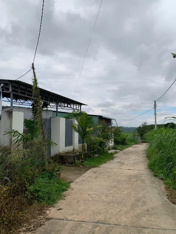 Đất Nền Phường Trần Hưng Đạo, Kon Tum - 250m², Sẵn Sổ Hồng Thổ Cư