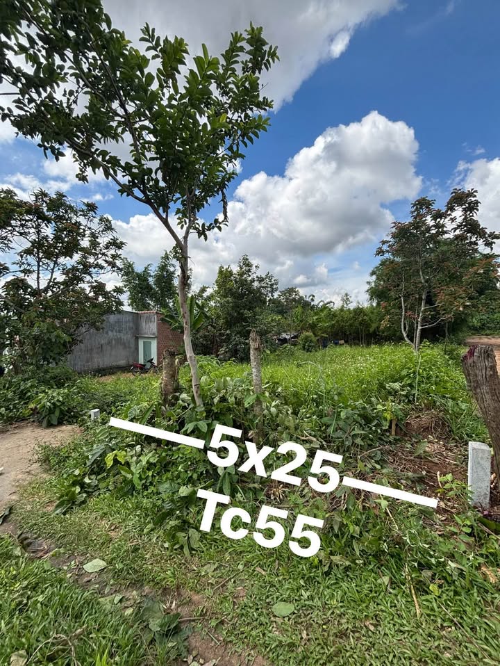 Đất nền Thôn 8 Xã Đoàn Kết 125m² giá chỉ hơn 100 triệu - Đường ô tô!