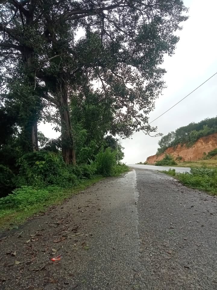 Đất mặt tiền Tỉnh lộ 675 Kon Tum 1000m² - Sổ đỏ chính chủ