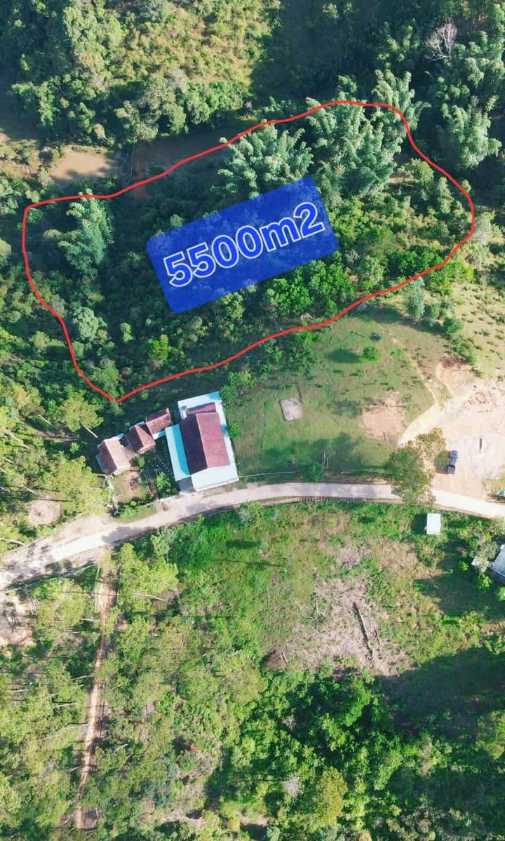 Đất Nền Măng Đen 5500m² - View Rừng Thông Độc Đáo, Sẵn Sổ Hồng