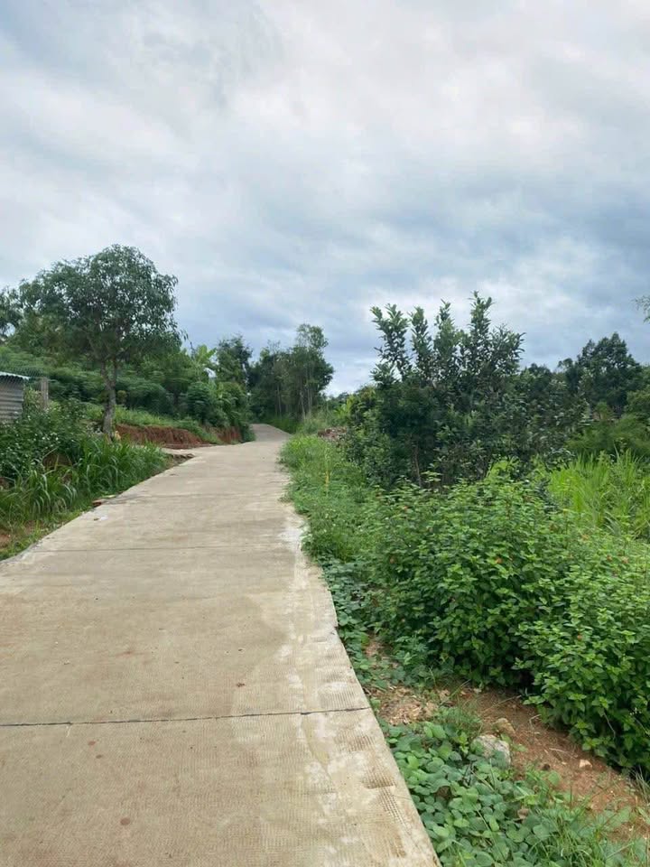 Đất nền Chư Hreng 100m² - Sổ đỏ chính chủ, vị trí đắc địa!