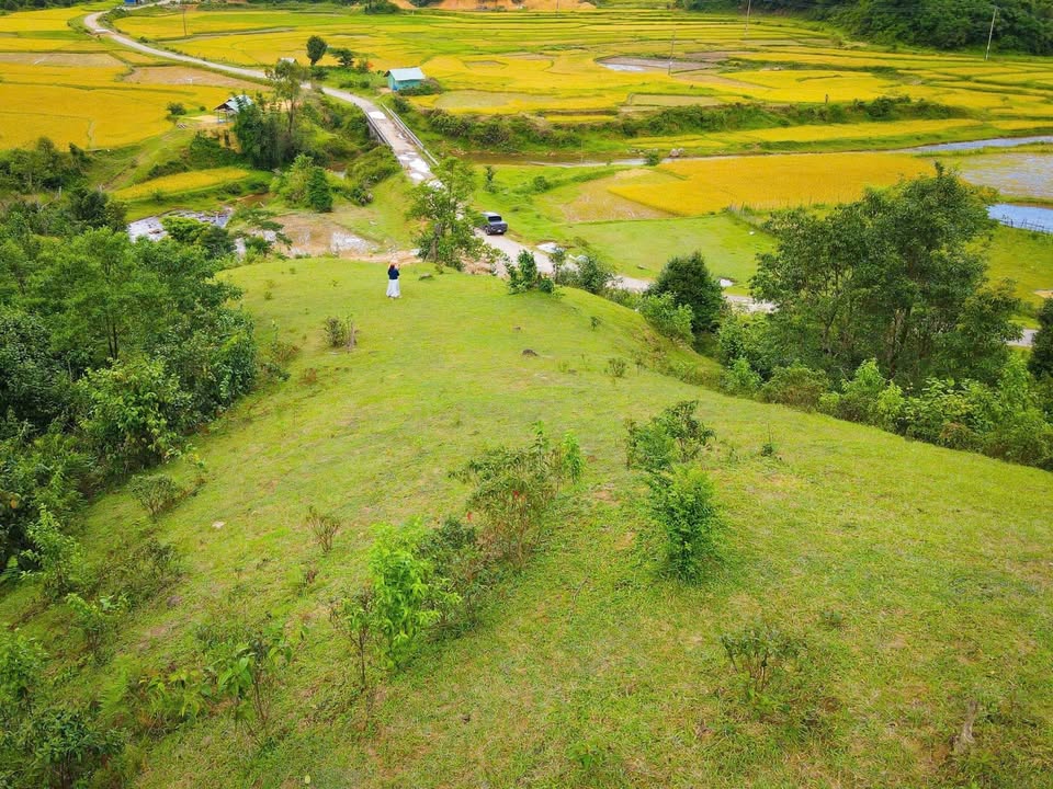 Đất Nền Đắk Long 1.5ha - Tiềm Năng Tăng Giá Vượt Trội!