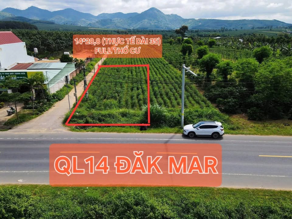 Đất nền góc 490m² Quốc lộ 14, Đăk Hà - Giá tốt đầu tư