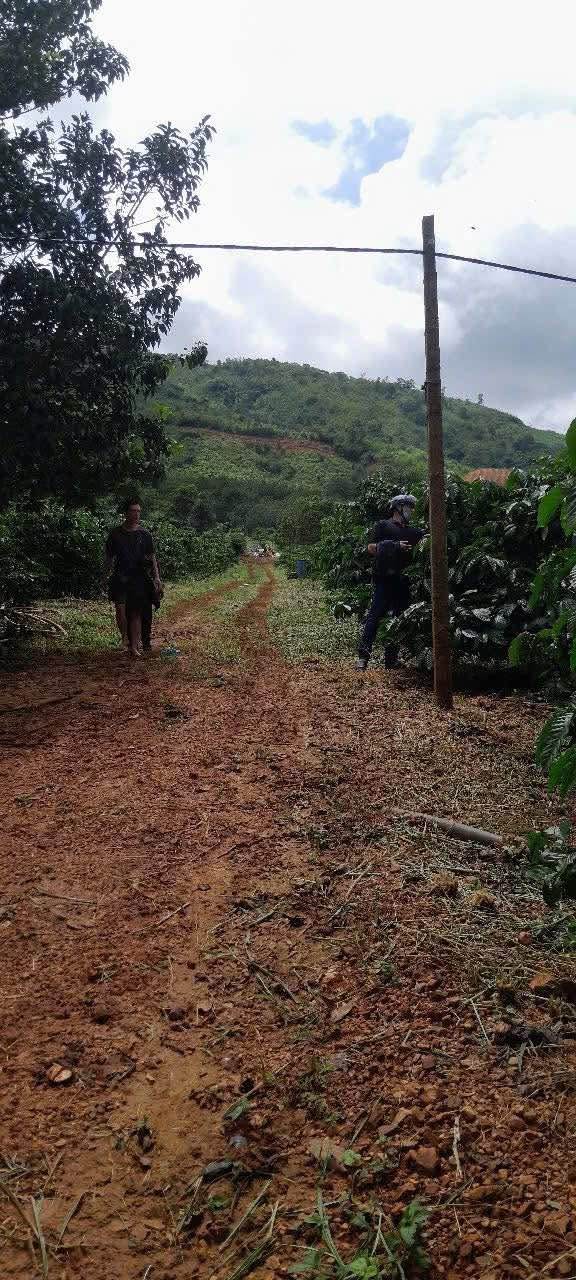 Bán Rẫy Đắk Hà Kon Tum 3ha Giá 4.9 Tỷ - Đầu Tư Sinh Lời Ngay!