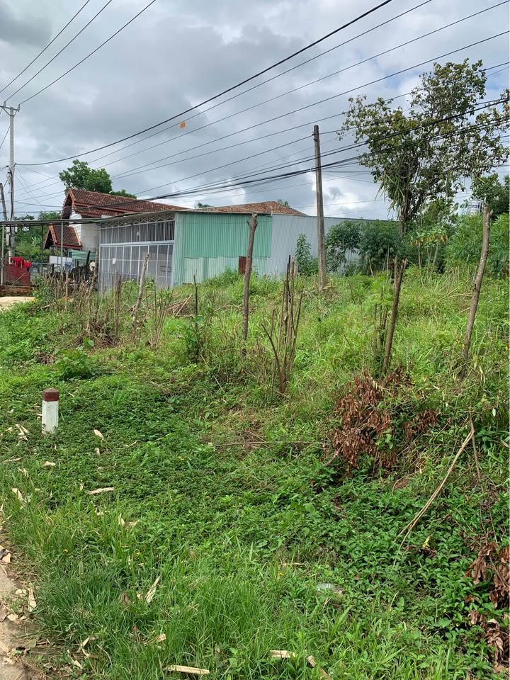 Đất Vàng Tỉnh Lộ 671 Kon Tum - 2100m² Sẵn Sàng Đầu Tư