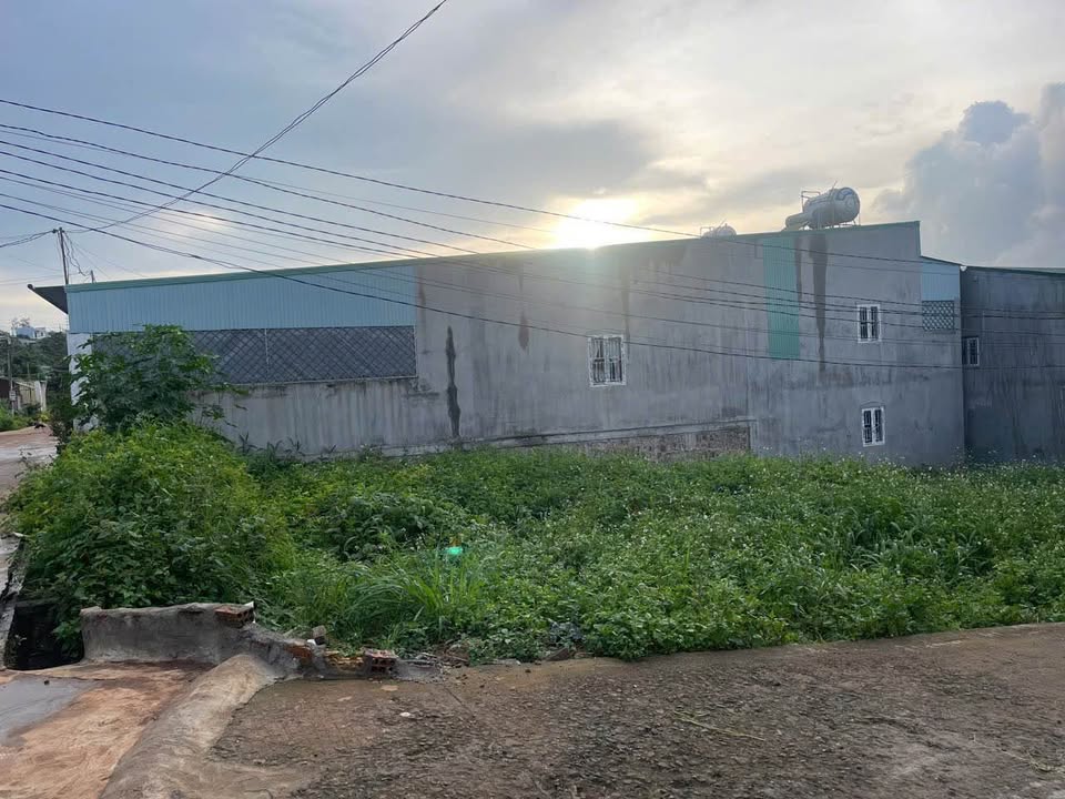 Bán Đất Lô Góc 2 Mặt Tiền Nguyễn Thiếp, Pleiku - 275m² Giá 3.13 Tỷ