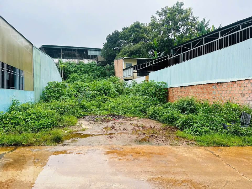 Đất nền Pleiku 96m² giá 1.65 tỷ - Đường to ô tô, Sổ đỏ chính chủ