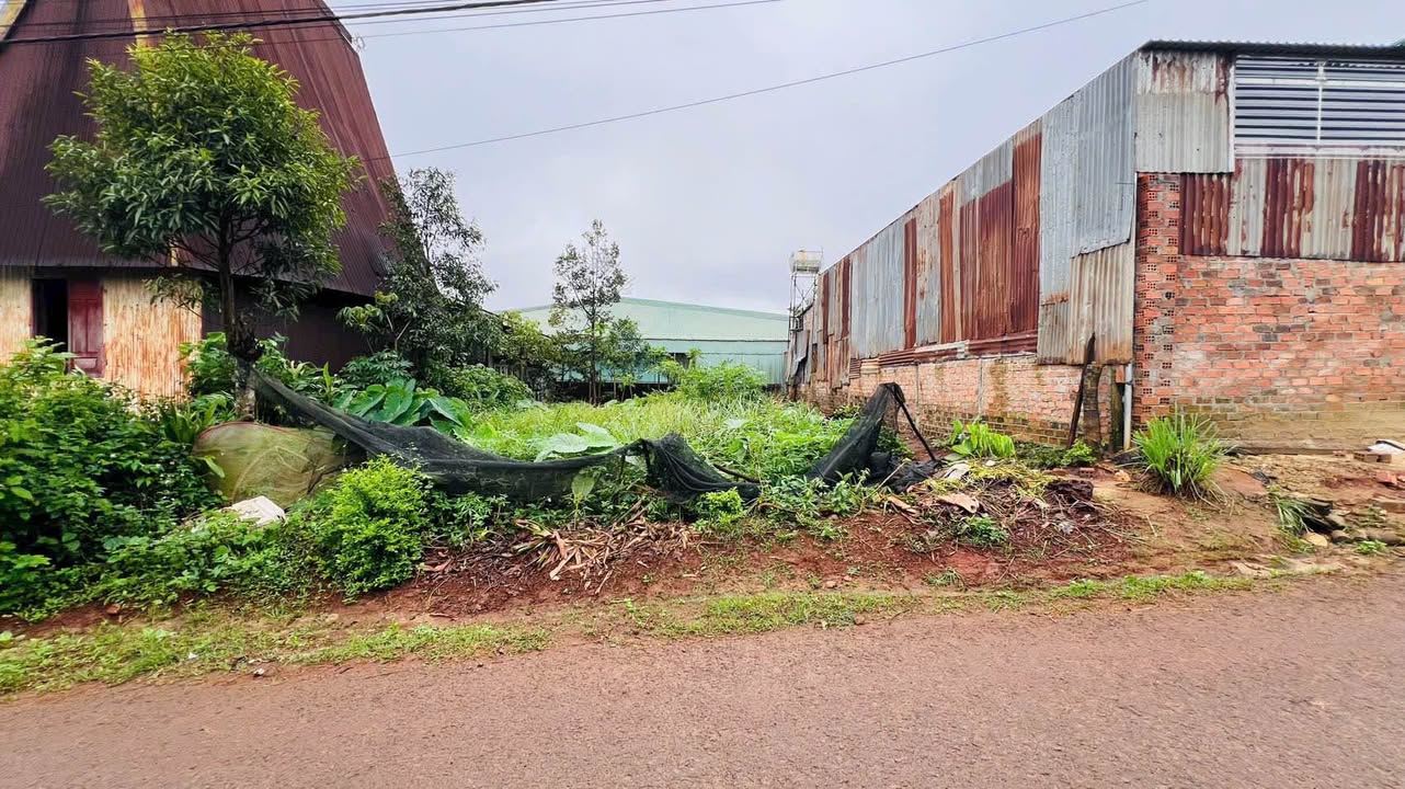 Đất nền Hẻm Đặng Trần Côn Pleiku 215m² - Sổ đỏ chính chủ!