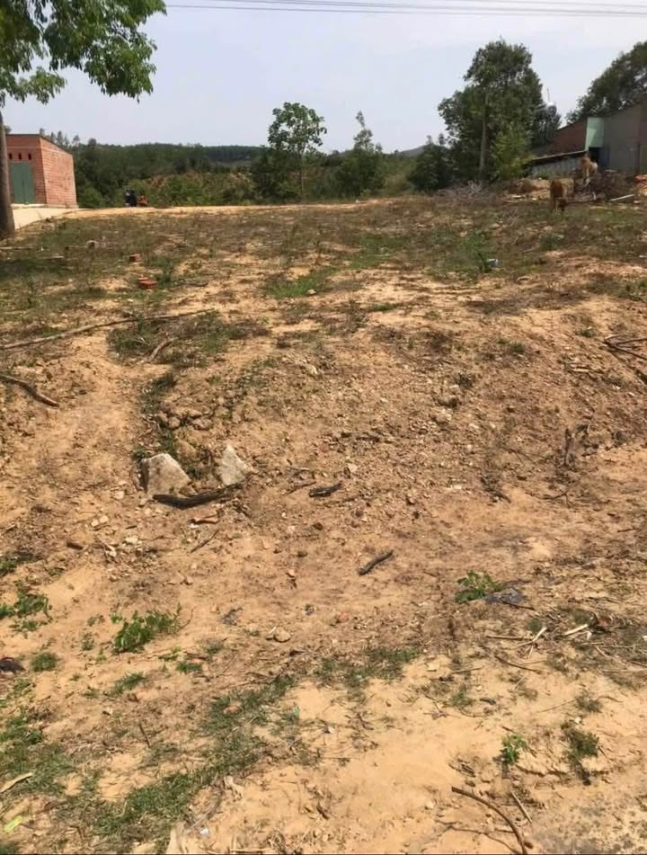 Đất nền Kon Tum 500m² Quốc lộ 24 Cũ - Sổ đỏ sẵn sàng, giá đầu tư tốt!