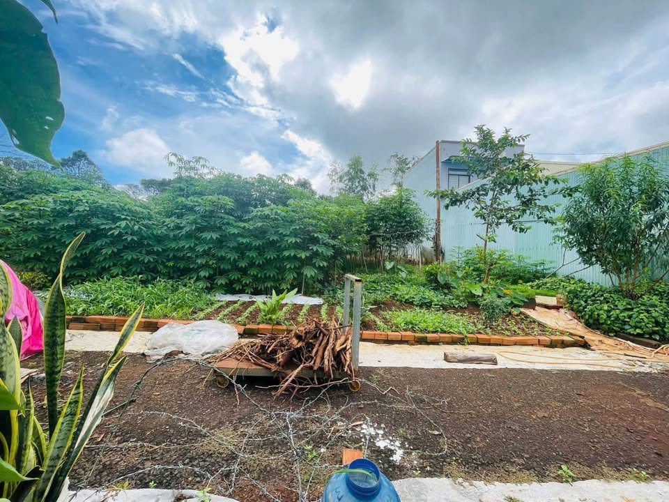 Đất nền Pleiku 390m² Hẻm A Sanh - Tiềm năng tăng giá!