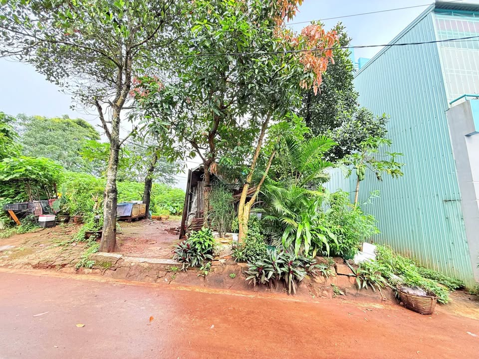 Đất Tuệ Tĩnh Pleiku 95m² 1.35 tỷ - Đất thổ cư 100%!