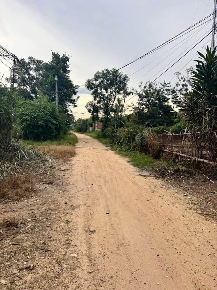 Đất Vàng Xã Vinh Quang, Kon Tum - 205m² Thổ Cư, Sổ Đỏ Sẵn Sàng - Giá 4 Tỷ