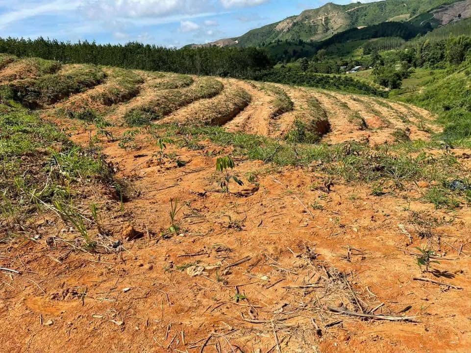 Bán Đất Cao Su 4ha Xã Ngok Réo, Kon Tum - Sổ Hồng Chính Chủ