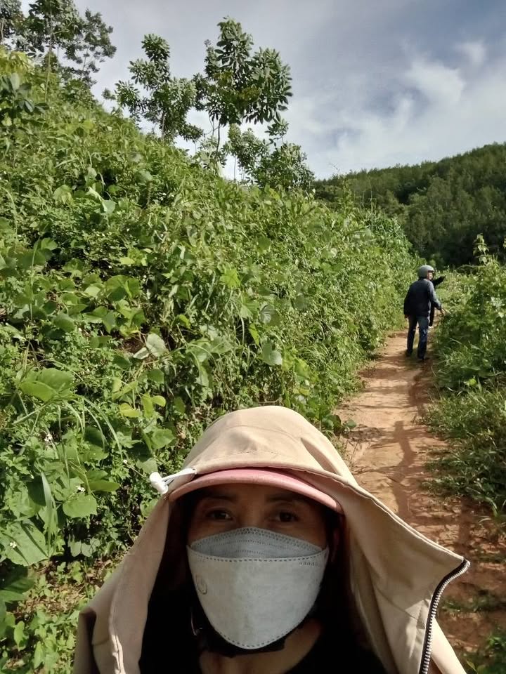 Bán Rẫy Cao Su Đăk Bla, Kon Tum - 7.4 Sào, Sổ Đỏ, Oto Tới Nơi