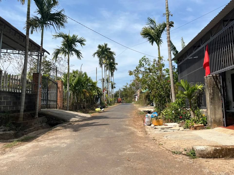 Đất Mặt Tiền 260m² Phường Tân An, Buôn Ma Thuột - Giá 3.05 Tỷ