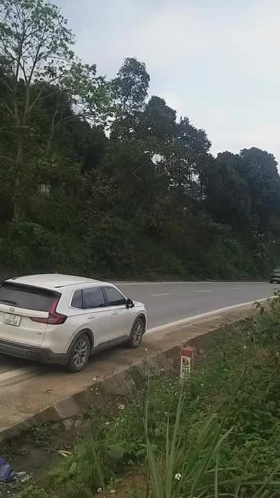 Bán đất thổ cư 200m² Việt Vinh, Bắc Quang - Sẵn sổ, giá 800 triệu