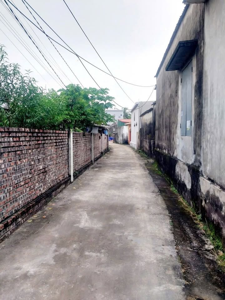 Nhà riêng Quỳnh Phụ, Thái Bình 231m² giá 800 triệu - Giá tốt hiếm có!