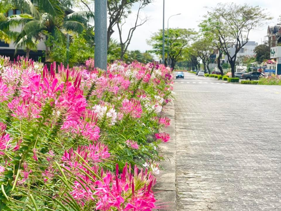 Đất nền V5 FPT Đà Nẵng 90m² – Tiềm năng tăng giá cực lớn!