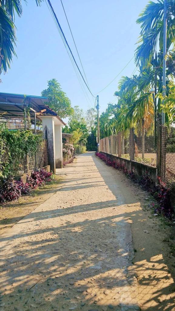 Đất nền Tịnh Hà, Quảng Ngãi - 115m² Sổ đỏ, hướng Đông, giá chỉ 4xx triệu