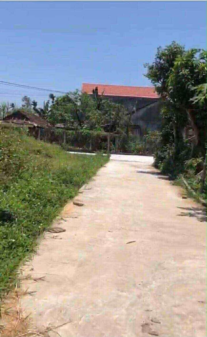 Đất nền Tịnh Khê - Quảng Ngãi: 115m² sẵn sổ, ô tô tận nơi - Chỉ 4xx triệu!