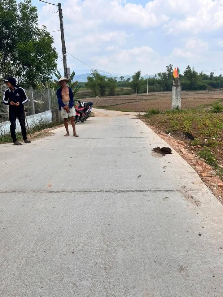 Đất Nền Mặt Tiền DX Liên Xã, Quế Sơn - 135m² Sổ Hồng Trao Tay