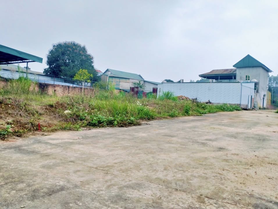 Bán Đất Phù Ninh 121m² - Mặt Tiền 6m Hướng Đông Nam, Gần QL2