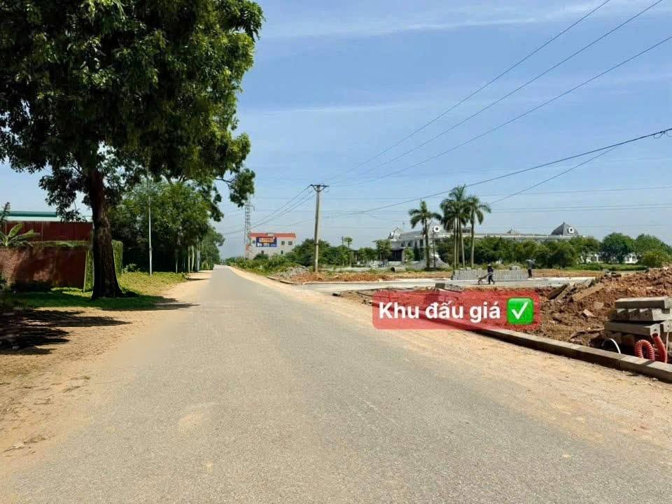Đất đấu giá Ao Sẩm, Lâm Thao 160m² - Hạ tầng đẹp, giá tốt