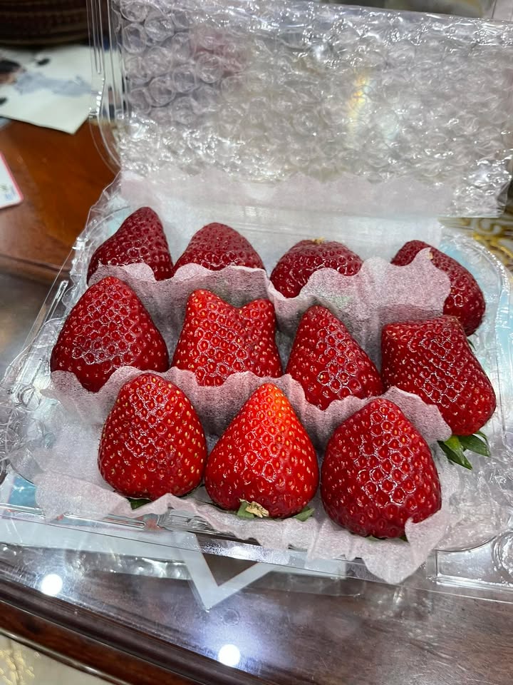 Đất nền Lạc Nhuế Yên Phong 80m² giá 1.x tỷ - Sổ hồng chính chủ!