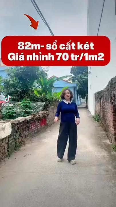 Bán đất Ninh Hiệp Gia Lâm 82m² giá 5.74 tỷ - Sổ đỏ chính chủ!