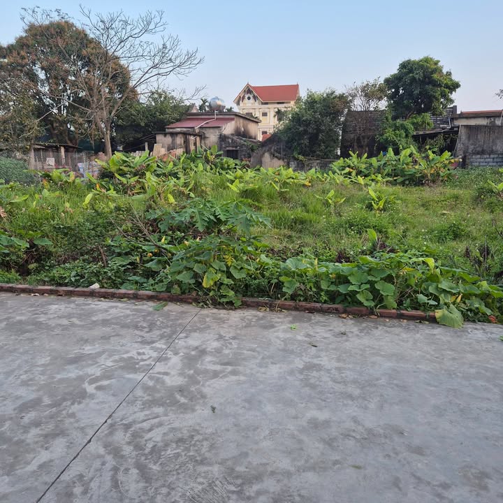 Đất nền 120m² Khánh Mậu, Yên Khánh - Giá dưới 1 tỷ, tiềm năng tăng giá!