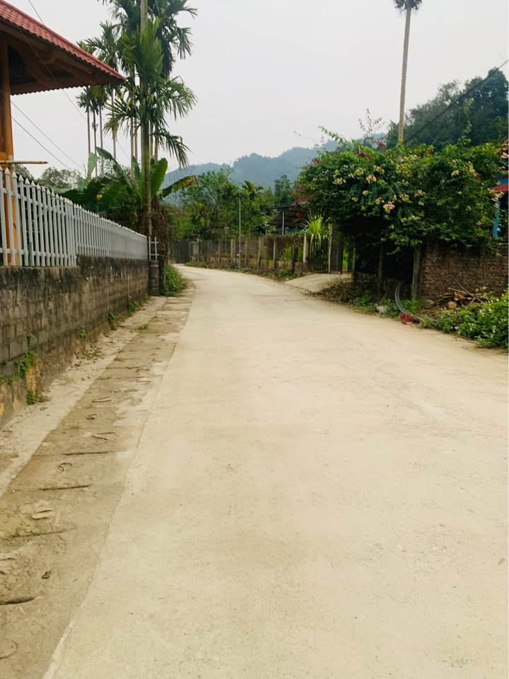 Bán Gấp Đất Nền 500m² Hơn 100 Triệu Tại Vị Xuyên, Hà Giang - Gần Trường Học