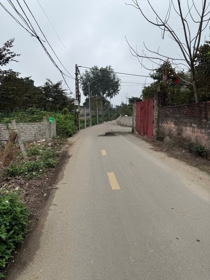 Nhà Phố Sơn Tây 100m² - Mặt tiền kinh doanh đắc địa!