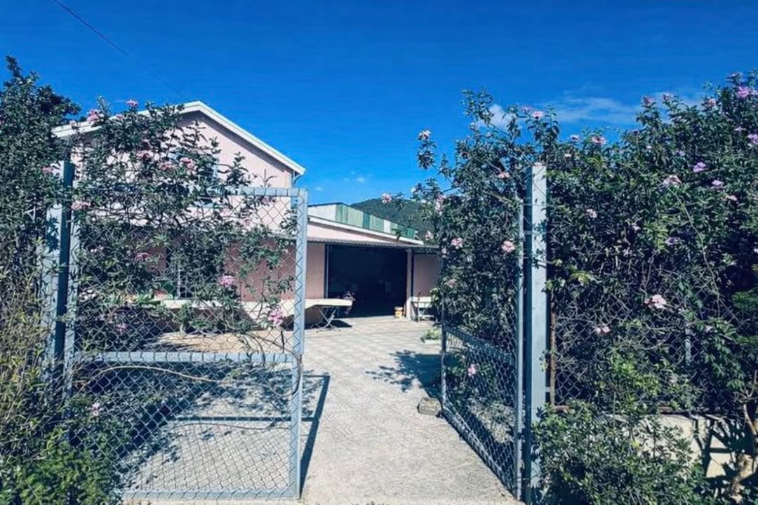 Nhà Vườn Chân Đèo Prenn Đà Lạt 210m² - Full Nội Thất, Sẵn Sàng Vào Ở!