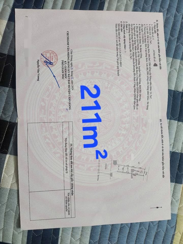 Đất nền Cẩm Giàng 211m² 6.33 tỷ - Tiềm năng tăng giá vượt trội