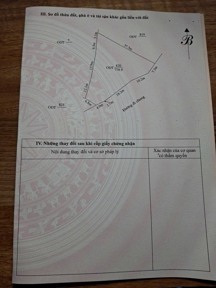 Đất nền Ngọc Lặc 779m² - Sổ đỏ chính chủ, thổ cư 100%