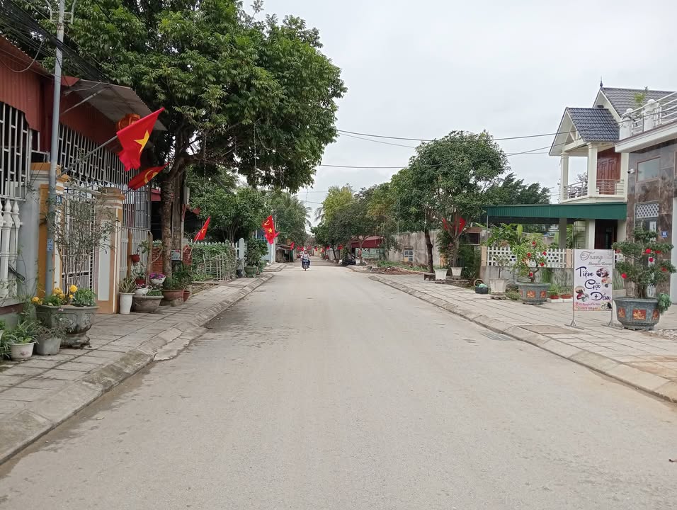 Đất nền Hậu Lộc 101m² - Sổ đỏ chính chủ, tiềm năng sinh lời!