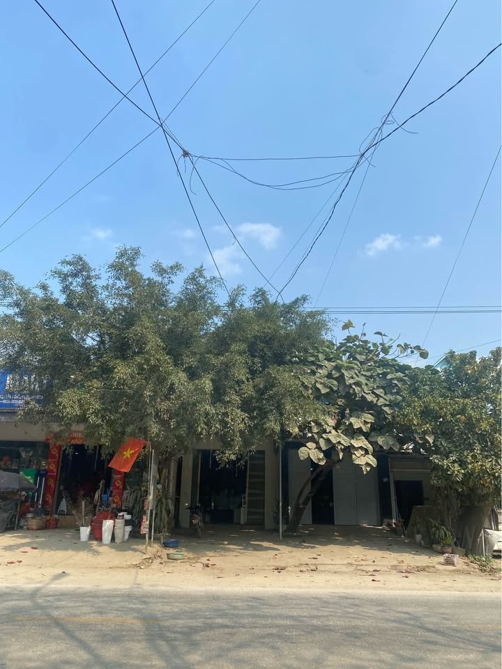 Nhà Mặt Tiền QL2 Bắc Quang 280m² - Mặt Tiền Kinh Doanh Hiệu Quả!