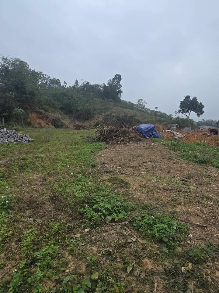 Đất nền 400m² Nông Tiến, Tuyên Quang - Sổ đỏ rõ ràng, ô tô đỗ cửa