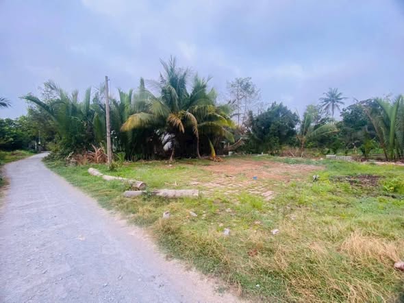 Đất nền Mỹ Phước Mang Thít 104.5m² - Đất thổ cư 100%