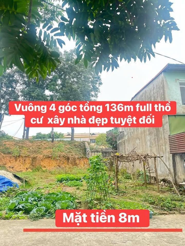 Đất Nền Đồng Hỷ, Thái Nguyên 136m² - Vuông vắn, Giá 1.8 tỷ, Sẵn Sàng Xây Nhà Ở