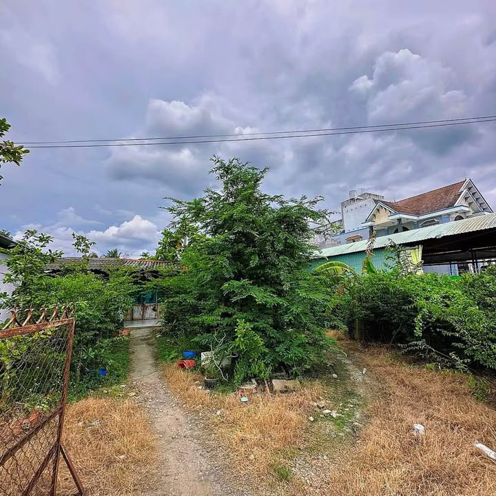 Bán Đất Mặt Tiền QL50, Tiền Giang 3000m² - Giá Tốt Đầu Tư