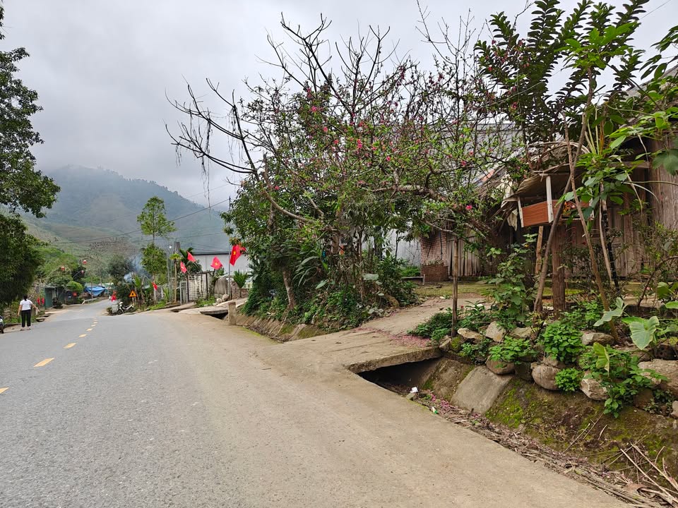 Bán Đất Tặng Nhà 650m² Trục Đ. 414 Sơn Tây - Giá Tốt 2 Tỷ