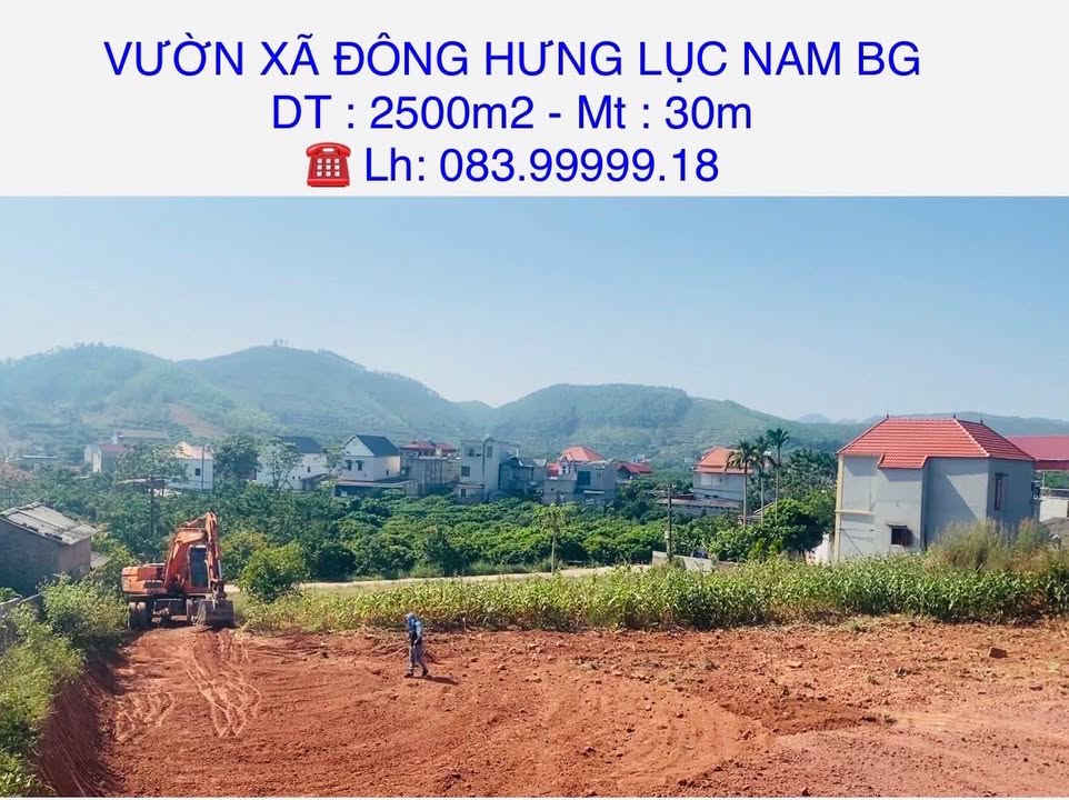 Đất Vườn Đông Hưng, Gia Bình 2500m² - Sổ hồng rõ ràng, tiềm năng lớn!