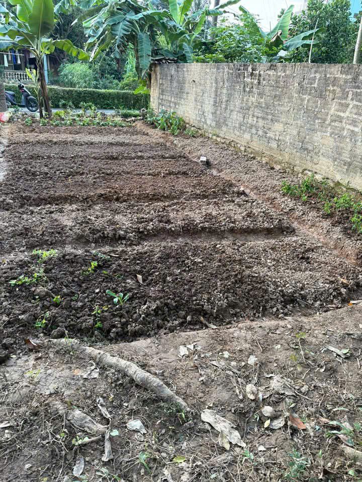 Bán Đất Phùng Khắc Khoan, Yên Bái - 145m² Sổ Đỏ, Giá 750 Triệu